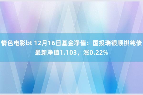 情色电影bt 12月16日基金净值：国投瑞银顺祺纯债最新净值1.103，涨0.22%