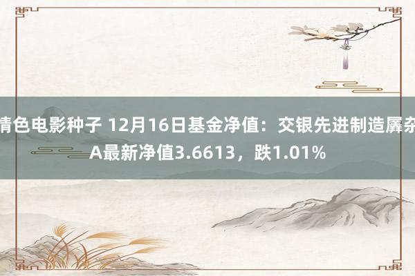 情色电影种子 12月16日基金净值：交银先进制造羼杂A最新净值3.6613，跌1.01%