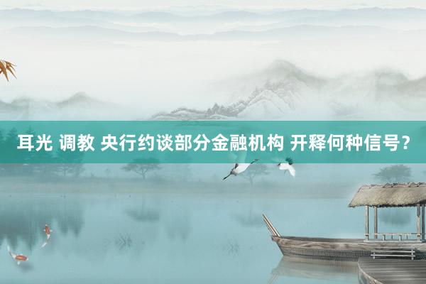 耳光 调教 央行约谈部分金融机构 开释何种信号？