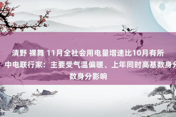 清野 裸舞 11月全社会用电量增速比10月有所回落，中电联行家：主要受气温偏暖、上年同时高基数身分影响