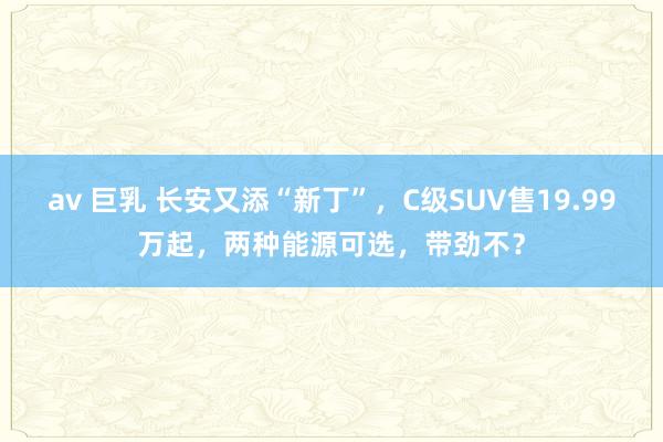 av 巨乳 长安又添“新丁”，C级SUV售19.99万起，两种能源可选，带劲不？