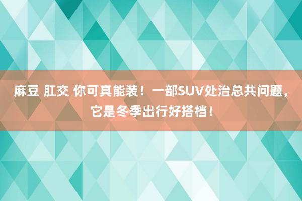 麻豆 肛交 你可真能装！一部SUV处治总共问题，它是冬季出行好搭档！