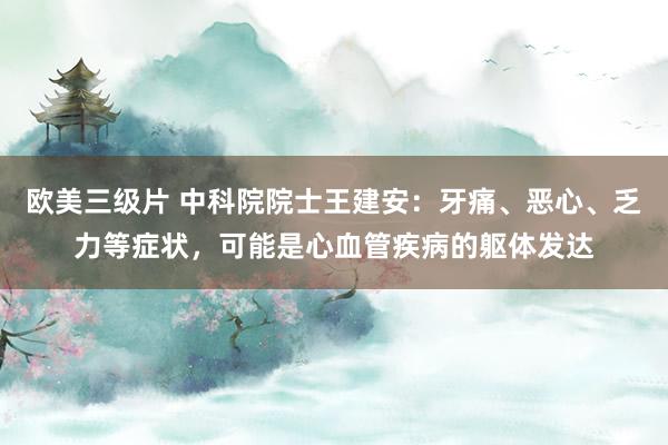 欧美三级片 中科院院士王建安：牙痛、恶心、乏力等症状，可能是心血管疾病的躯体发达