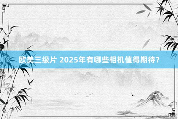 欧美三级片 2025年有哪些相机值得期待？