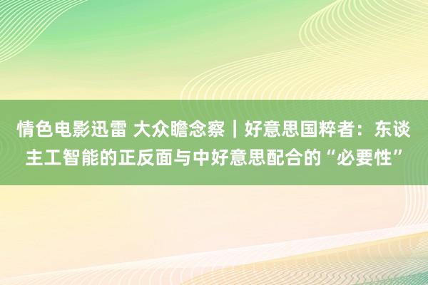 情色电影迅雷 大众瞻念察｜好意思国粹者：东谈主工智能的正反面与中好意思配合的“必要性”