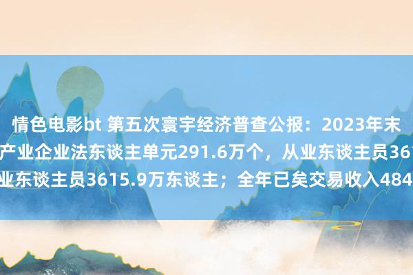 情色电影bt 第五次寰宇经济普查公报：2023年末，寰宇共罕有字经济中枢产业企业法东谈主单元291.6万个，从业东谈主员3615.9万东谈主；全年已矣交易收入484485.0亿元