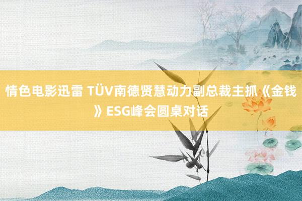 情色电影迅雷 TÜV南德贤慧动力副总裁主抓《金钱》ESG峰会圆桌对话