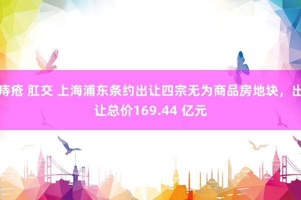 痔疮 肛交 上海浦东条约出让四宗无为商品房地块，出让总价169.44 亿元