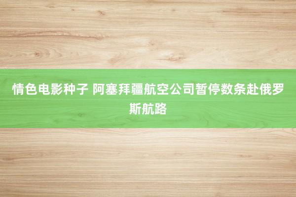 情色电影种子 阿塞拜疆航空公司暂停数条赴俄罗斯航路