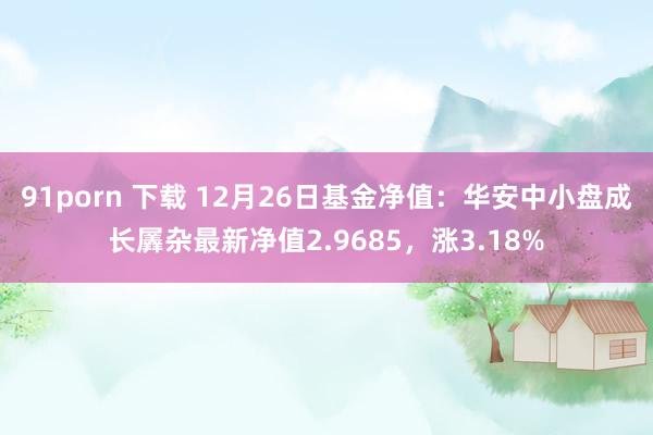 91porn 下载 12月26日基金净值：华安中小盘成长羼杂最新净值2.9685，涨3.18%