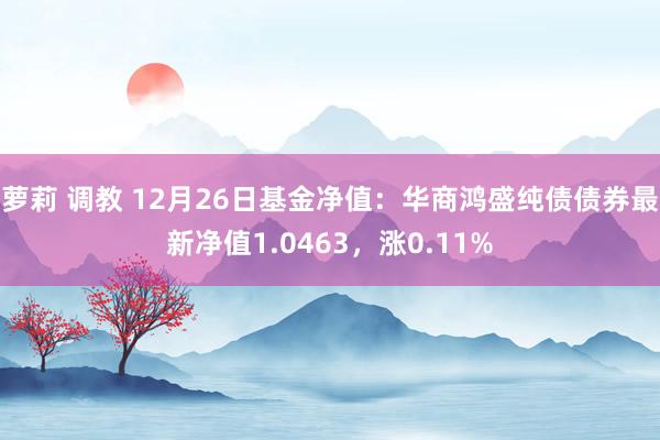 萝莉 调教 12月26日基金净值：华商鸿盛纯债债券最新净值1.0463，涨0.11%