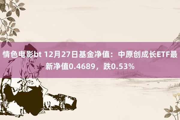 情色电影bt 12月27日基金净值：中原创成长ETF最新净值0.4689，跌0.53%