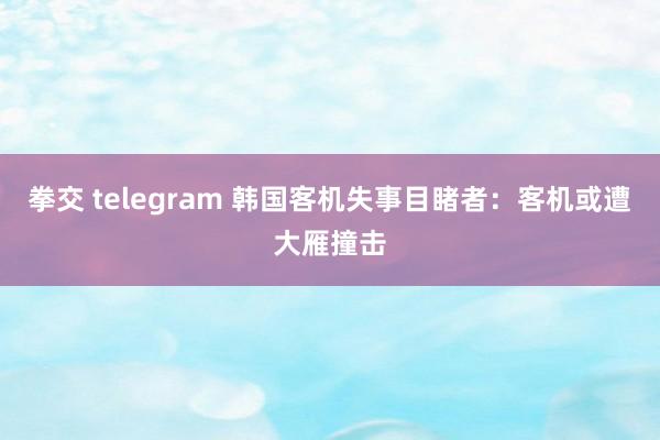 拳交 telegram 韩国客机失事目睹者：客机或遭大雁撞击