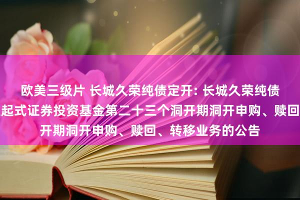 欧美三级片 长城久荣纯债定开: 长城久荣纯债按时洞开债券型发起式证券投资基金第二十三个洞开期洞开申购、赎回、转移业务的公告