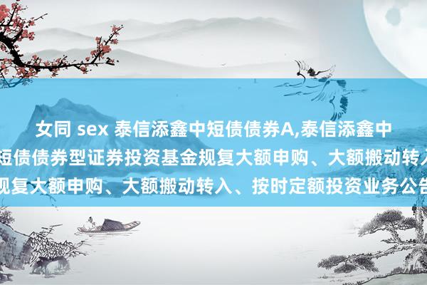 女同 sex 泰信添鑫中短债债券A，泰信添鑫中短债债券C: 泰信添鑫中短债债券型证券投资基金规复大额申购、大额搬动转入、按时定额投资业务公告