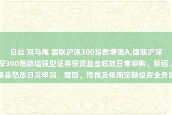 白丝 双马尾 国联沪深300指数增强A，国联沪深300指数增强C: 国联沪深300指数增强型证券投资基金怒放日常申购、赎回、搭救及依期定额投资业务的公告