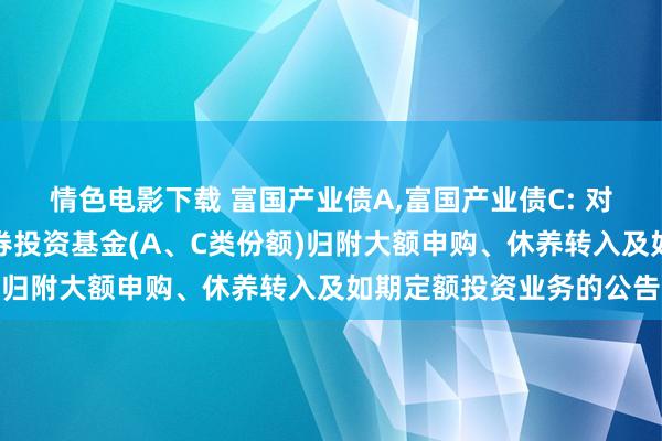 情色电影下载 富国产业债A，富国产业债C: 对于富国产业债债券型证券投资基金(A、C类份额)归附大额申购、休养转入及如期定额投资业务的公告