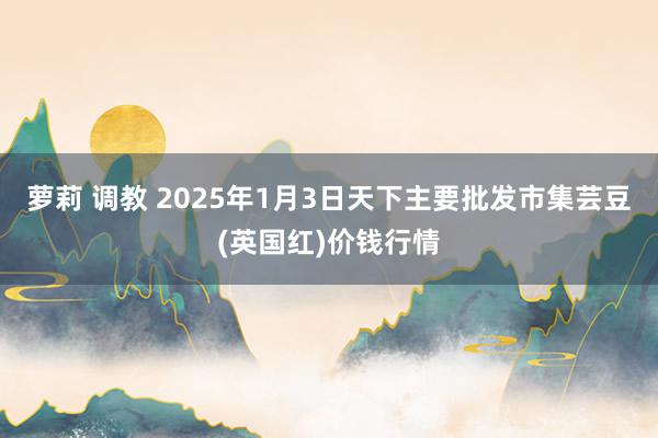 萝莉 调教 2025年1月3日天下主要批发市集芸豆(英国红)价钱行情