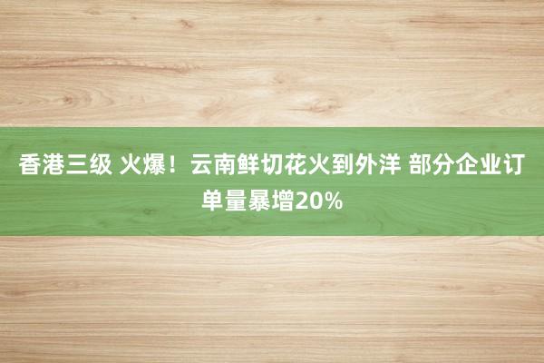 香港三级 火爆！云南鲜切花火到外洋 部分企业订单量暴增20%