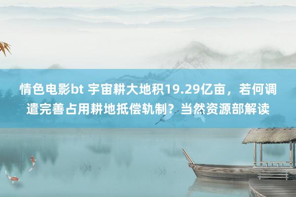 情色电影bt 宇宙耕大地积19.29亿亩，若何调遣完善占用耕地抵偿轨制？当然资源部解读