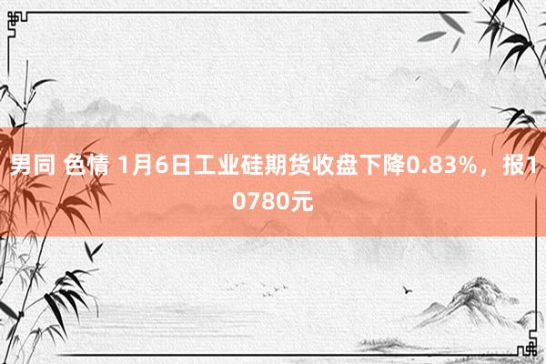 男同 色情 1月6日工业硅期货收盘下降0.83%，报10780元