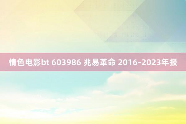 情色电影bt 603986 兆易革命 2016-2023年报