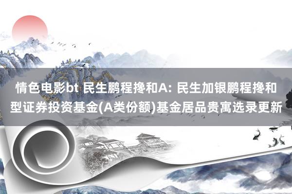 情色电影bt 民生鹏程搀和A: 民生加银鹏程搀和型证券投资基金(A类份额)基金居品贵寓选录更新