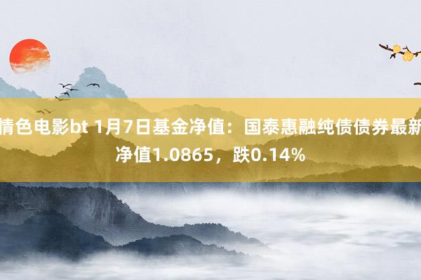 情色电影bt 1月7日基金净值：国泰惠融纯债债券最新净值1.0865，跌0.14%