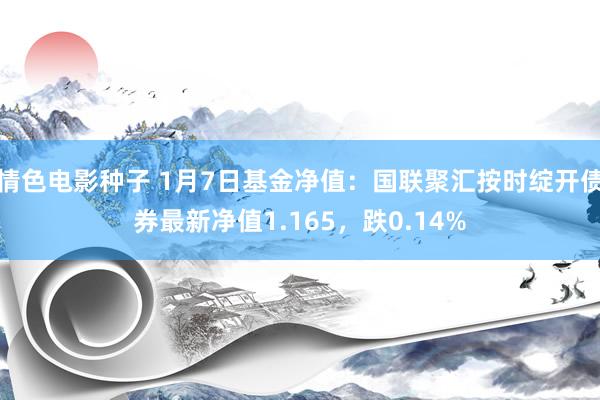 情色电影种子 1月7日基金净值：国联聚汇按时绽开债券最新净值1.165，跌0.14%