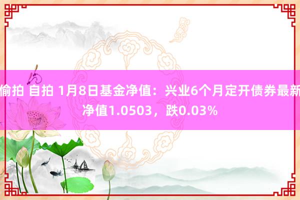 偷拍 自拍 1月8日基金净值：兴业6个月定开债券最新净值1.0503，跌0.03%