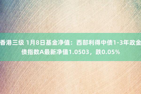 香港三级 1月8日基金净值：西部利得中债1-3年政金债指数A最新净值1.0503，跌0.05%