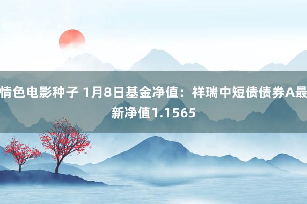 情色电影种子 1月8日基金净值：祥瑞中短债债券A最新净值1.1565