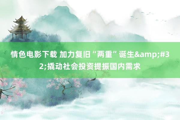 情色电影下载 加力复旧“两重”诞生&#32;撬动社会投资提振国内需求