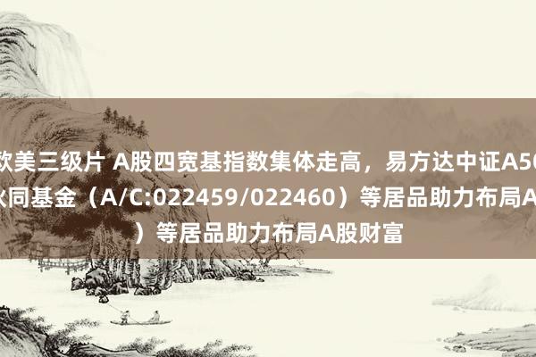 欧美三级片 A股四宽基指数集体走高，易方达中证A500ETF伙同基金（A/C:022459/022460）等居品助力布局A股财富