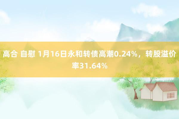 高合 自慰 1月16日永和转债高潮0.24%，转股溢价率31.64%